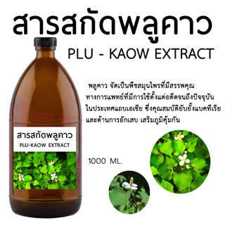 สารสกัดพลูคาว Plukaow Extract 1000 ML.