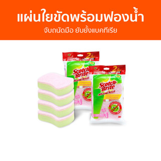 แผ่นใยขัดพร้อมฟองน้ำ 3M Scotch Brite จับถนัดมือ ยับยั้งแบคทีเรีย - สก็อตไบรท์ ฟองน้ำล้างจาน ฟองนำ้ล้างจาน ฟองน้ำ