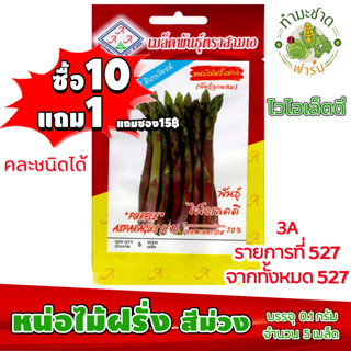 (ซื้อ10แถม1) เมล็ดพันธุ์ หน่อไม้ฝรั่ง สี่ม่วง Purple Asparagus ประมาณ 5เมล็ด 3A สามเอ ผักสวนครัว เมล็ดพันธุ์พืช เมล็ดผัก