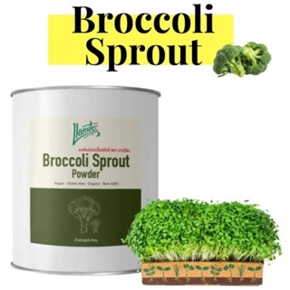 💥Broccoli Sprout Powder  💯% ขนาด 250 กรัม ผงต้นอ่อนบร็อคโคลี่ ผงบร็อคโคลี่ บล็อคโคลี่ผง  คัดคุณภาพ