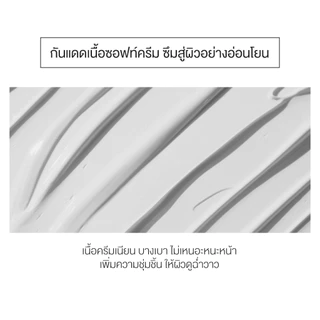 Round Lab Birch Juice Moisturizing Mild-Up Sunscreen SPF50+ PA++++ 50 ml.
