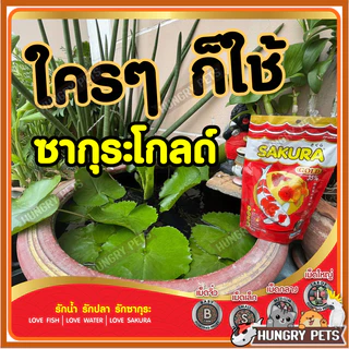 🔥ล็อตใหม่🐠สูตรใหม่!! อาหารปลาซากุระ Sakura Gold ขนาด 1 กก.