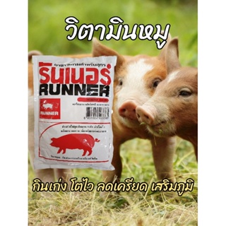 รันเนอร์ 450กรัม วิตามินหมู ช่วยย่อยแก้เครียดแก้แพ้หลังทำวัคซีน เร่งโต