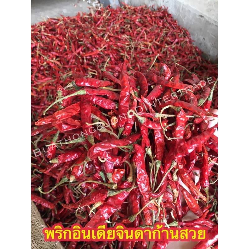 ก้านแท้ พริกจินดาอินเดียก้าน คัดสวย เผ็ดสุด น้ำหนัก  1 กิโลกรัม