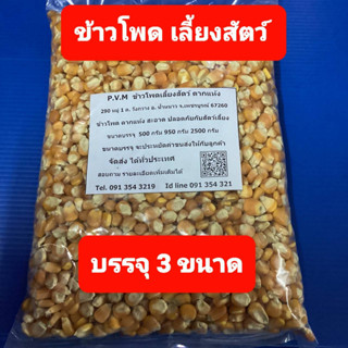 ข้าวโพดเลี้ยงสัตว์ ข้าวโพดเม็ด สะอาด ปลอดภัย ไม่มีสารตกค้าง อาหารนก อาหารไก่ ขนาดบรรจุ 2500 กรัม