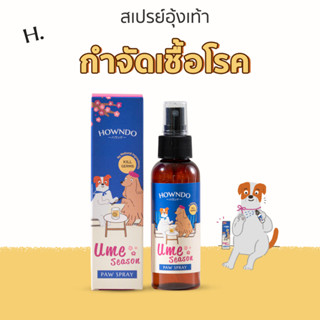 [ส่งฟรี] Howndo Paw Spray สเปรย์ทำความสะอาดอุ้งเท้าสุนัข กำจัดเชื้อโรค สุนัขคันเท้า คันตัวตาม (แบคทีเรียและไวรัส)