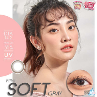 Kitty Kawaii mini soft gray รุ่นใหม่ มาแรง ไซส์มินิลายธรรมชาติ