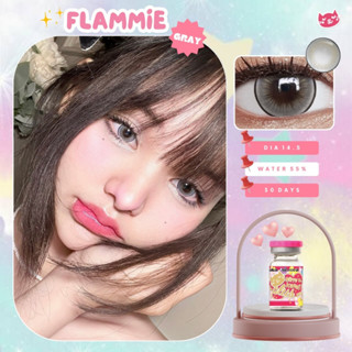 Kitty Kawaii flammie gray