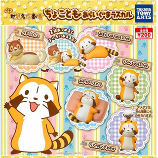 Gashapon Rascal the Raccoon / กาชาปองแรคคูน