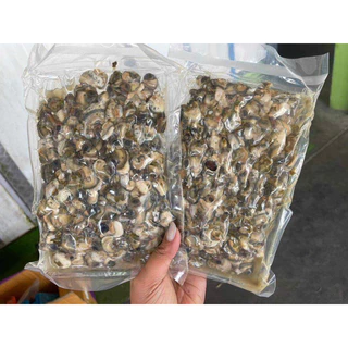 หอยขมแกะเนื้อ แช่แข็ง(500g.)เนื้อ4ขีด น้ำ1ขีด 🔥ค่าส่งเหมา✅คละได้ทั้งร้าน❗️โฟมฟรี💦ทุกจังหวัด 🚚💨ส่งขนส่งแช่เย็น❄️