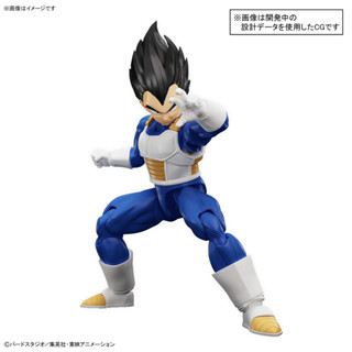 จัดส่งตรงถึงญี่ปุ่น ฟิกเกอร์ไรส์ Standard Vegeta (NEW SPEC Ver.) Plastic Model [BANDAI SPIRITS]