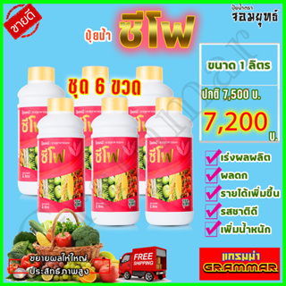 ซีโฟ ปุ๋ยน้ำซีโฟ ( ขนาด 1000 ซีซี  6 ขวด) บำรุงผล เร่งเติบโตผล ผลดกใหญ่ ยืดอายุการเก็บเกี่ยว ผลผลิตเพิ้ม แกรมม่าทู เอฟอช