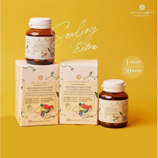 NEW‼️ SOUL JOY EXTRA Moleculogy by Diamond Grains สูตรใหม่บาลานซ์ดีขึ้น เพิ่ม L-Lysine HCL