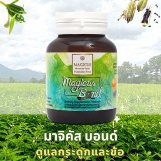 Magicus Bond มาจิคัสบอนด์ พัฒนาโดย ภก.ดร.ทวีศักดิ์ ดูแลข้อเข่าเสื่อม ปวด บวดกระดูกและข้อ งาดำสกัดเย็นแก้ปวดเข่า