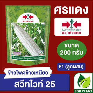 เมล็ดพันธุ์ ผักซอง ศรแดง Big ข้าวโพดข้าวเหนียวสวีทไวท์ 25 บรรจุ 200 กรัม