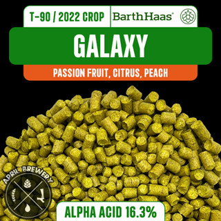 Galaxy Hops Pellets ฮอปส์ เพลลิท ทำเบียร์​ Pale Ale, IPA และอื่นๆ Homebrew Crop 2022 1oz [ BARTHHAAS ]