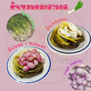 ต้นหอมดองสามรส-หอมแดงดองสามรส Homemade ขนาด 500-600g