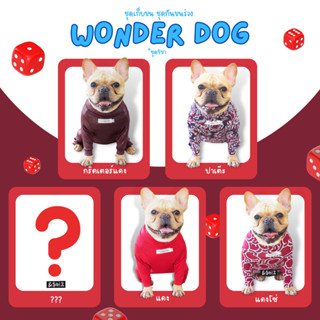 ชุดเก็บขน wonder dog เสื้อสุนัข เสื้อแมว ชุดกันขนร่วงสุนัข ชุดสัตว์เลี้ยง โทนสีแดง