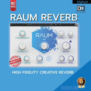 Native Instruments RAUM Reverb Plug-in Software | Win/Mac | Reverb ที่ชาว Sound Design ไม่ควรพลาด