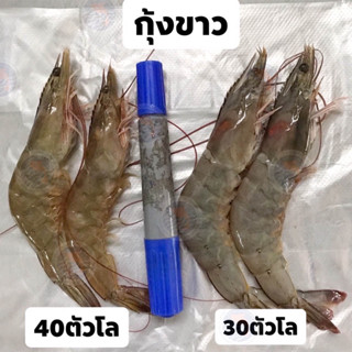 กุ้งขาว(กุ้งเลี้ยง) สดๆ