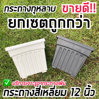 🔥ขายดี🔥 กระถางสี่เหลี่ยม 12 นิ้ว เซต 5,6 ใบ กระถางกุหลาบ กระถางโรมัน พร้อมส่ง