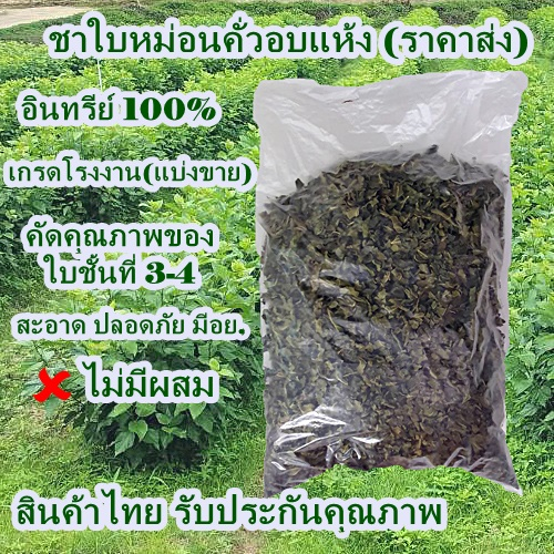 ใบหม่อนชา สมุนไพร อินทรีย์ 100%Mulberry leaf tea แบ่งขาย(ราคาส่งหน้าโรงงาน)สะอาด ปลอดภัย มีมาตรฐาน อย. พร้อมส่ง!