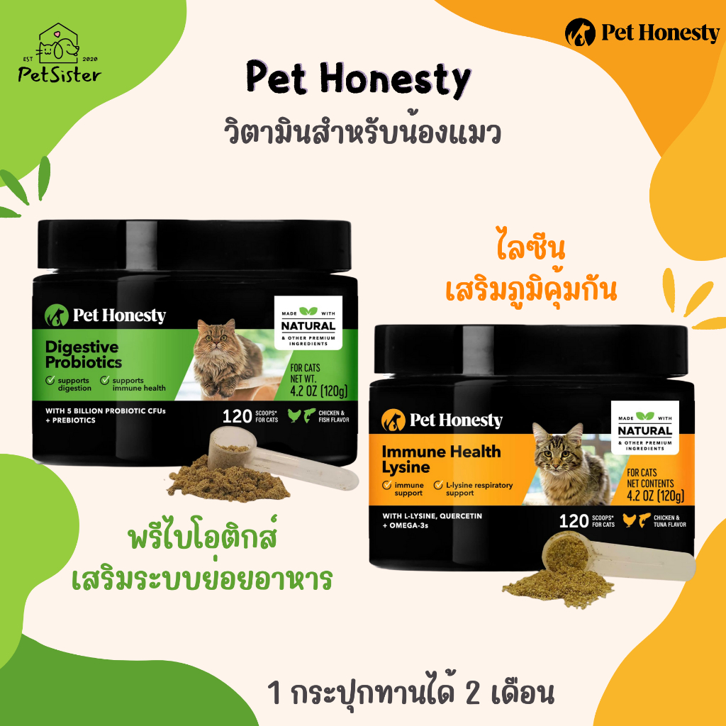 😸Pethonesty Lysine for Cat & Pethonesty Digestive health for Cat อาหารเสริมแมวเกรดพรีเมี่ยม x Petsis
