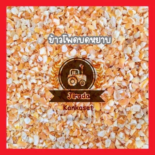 ข้าวโพดบดหยาบ ข้าวโพดเลี้ยงสัตว์