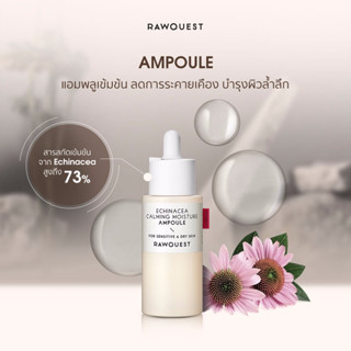 Rawquest Ampoule 50ml