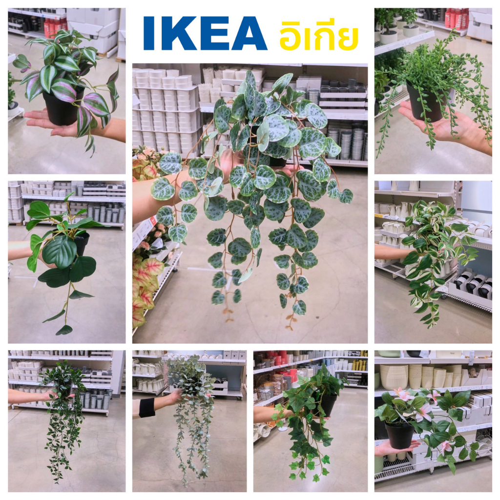 IKEA I แท้💯 พร้อมส่ง ต้นไม้เลื้อย ต้นไม้ปลอม FEJKA ไม้ประดิษฐ์ในกระถาง ใช้ตกแต่งบ้าน