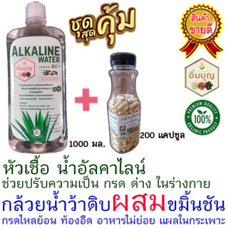 น้ำอัลคาไลน์ น้ำด่าง Alkaline Water (เข้มข้น) + กล้วยดิบผง ผสม ขมิ้นชัน (แพ็คคู) โรคกระเพาะ กรดไหลย้อน แผลในกระเพาะ