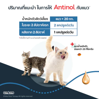 Antinol Dog 🔥 ของแท้ ล็อตใหม่ Exp.2028 อาหารเสริม บำรุงข้อ ลดอักเสบ สุนัข แมว