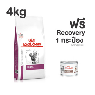 Royal Canin Renal อาหารสำหรับแมวโรคไต 4kg.