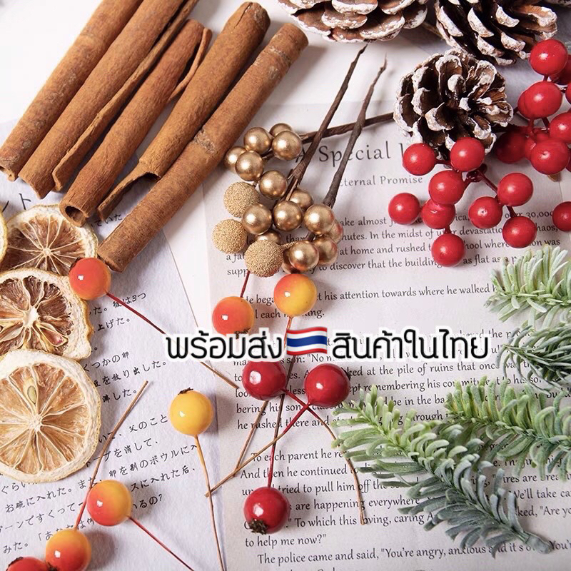 (พร้อมส่ง)จากไทย ลูกไม้ตกเเต่ง พร็อบถ่ายรูปคริสมาสต์ ลูกไม้ ลูกไม้ป่า คริสต์มาส สน ลูกสน ส้มแห้ง