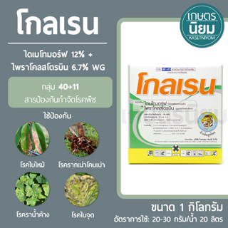 โกลแรน (ไดเมโทมอร์ฟ 12% + ไพราโคลสโตรบิน 6.7% WG) 1 กิโลกรัม