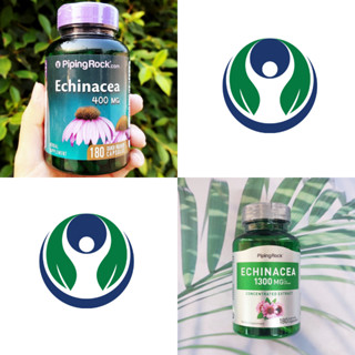 80% OFF Sale!! EXP. 03/2023 สารสกัดเข้มข้น สมุนไพร เอ็กไคนาเซีย Piping Rock® Echinacea 400 or 1300 mg 180 Capsules