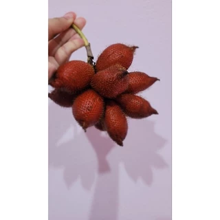 สละสุมาลี_1kg_หวาน-หอม-อร่อย-สละไม่เต็มช่อ-สละช่อเล็ก ขั้นต่ำ 2kg