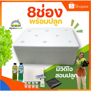 [ครบพร้อมปลูก]ชุดปลูกผักไฮโดรโปนิกส์ 8ช่อง กล่องปลูกไฮโดร กล่องโฟม ปลูกผัก ไฮโดรโปนิกส์ hydroponics ชุดกล่องปลูกผัก