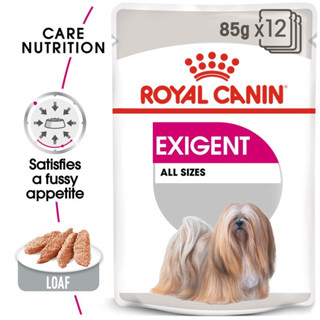 ยกกล่อง 12 ซอง] Royal Canin Exigent Pouch Loaf อาหารเปียกสุนัขโต ทุกขนาด ช่างเลือกอาหาร (โลฟเนื้อละเอียด