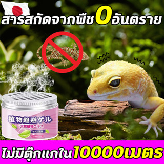 🦎ไม่มีตุ๊กแกใน10000เมตร🦎DT ไล่จิ้งจก ยากำจัดจิ้งจก ยาไล่ตุ๊กแก สมุนไพร ผลิตจากธรรมชาติ ไม่มีสารเคมี เจลไล่ตุ๊กแก 120g