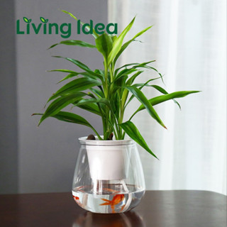 Living idea กระถางต้นไม้แบบใส พร้อมจัดส่ง