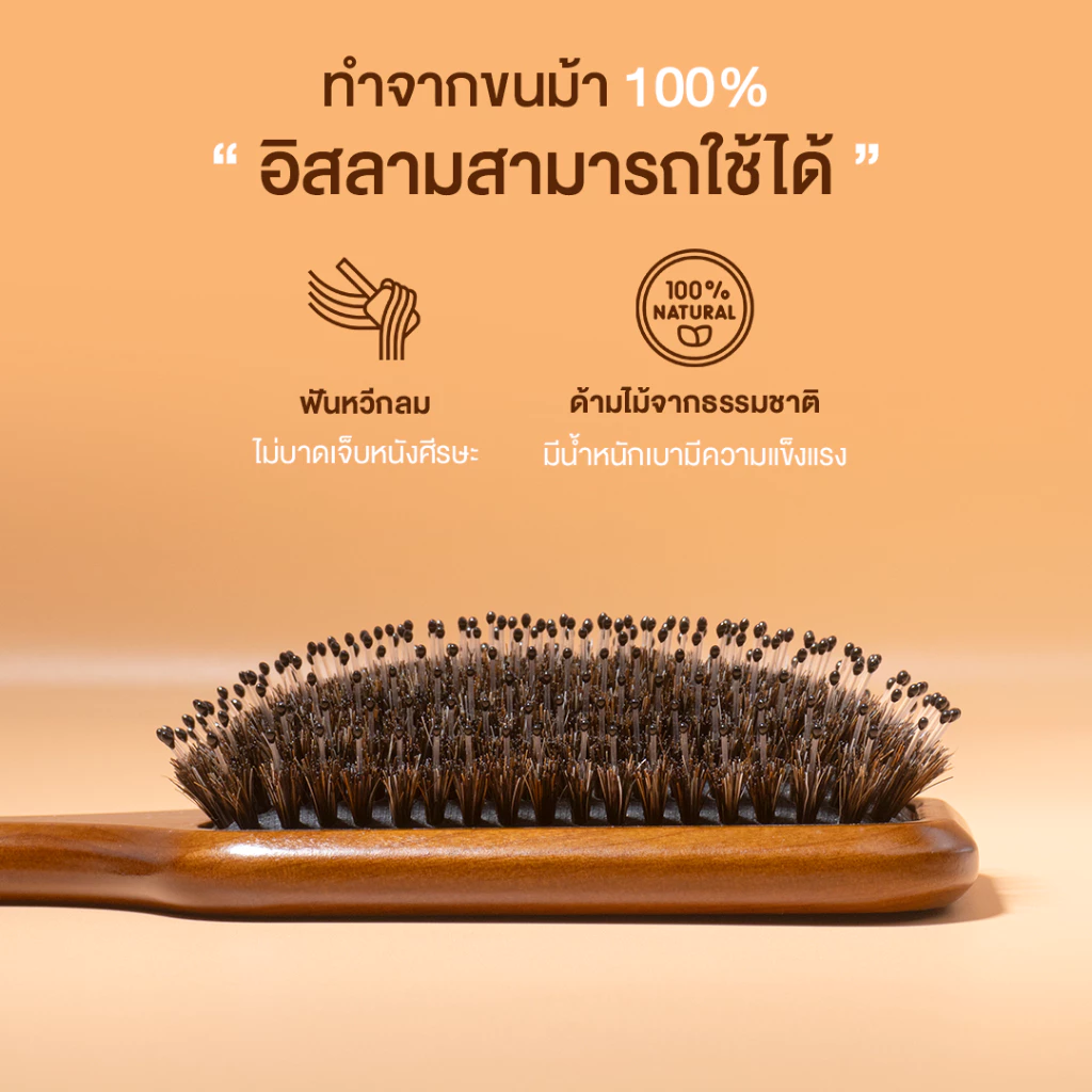 Haxon Cherry Boar-Bristle Brush/Horse Hair Brush หวีขนหมูป่าแท้ หวีขนม้า อิสลามใช้ได้ ให้ผมเงาแก้ผมพันกัน thumbnail 10