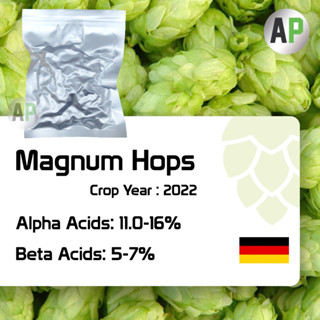 Magnum Hops Pellets T-90 ฮอปส์ เพลลิท ทำเบียร์​ และอื่นๆ Homebrew Crop Year 2022 1oz [ BarthHaas ]