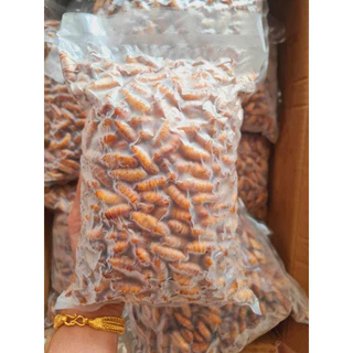 หนอนไหมสดฟรีส ดักแด้ไหม(500g.) 🐛⚡️ส่งด่วน 🔥ค่าส่งเหมา✅คละได้ทั้งร้าน❗️โฟมฟรี💦ทุกจังหวัด 🚚💨ส่งขนส่งแช่เย็น❄️