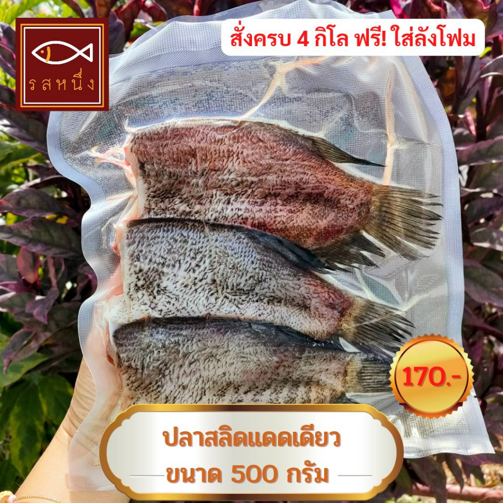 ปลาสลิดแดดเดียว 500 กรัม ขนาด 3 ตัว สินค้า OTOP สิงห์บุรี