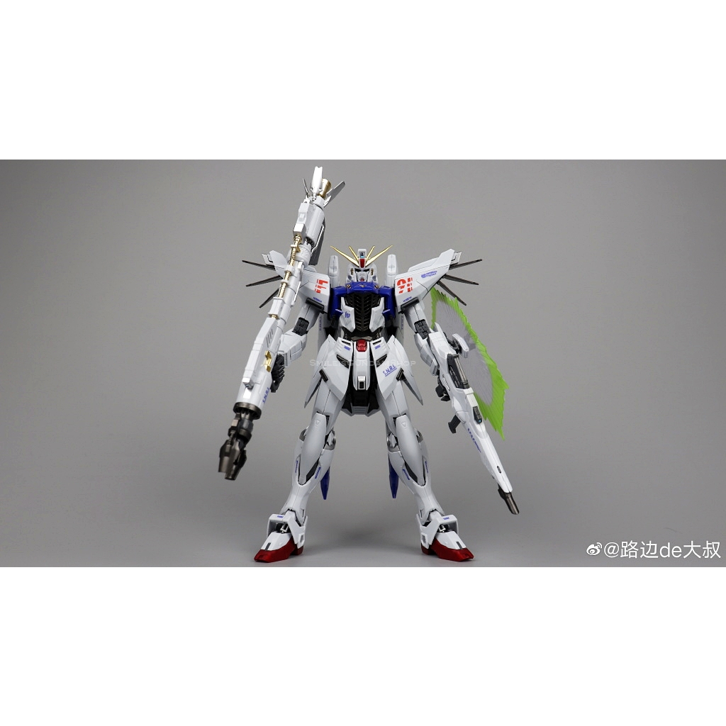 MG1/100 F91 Ver.MB + MSV Option Set(8821)[DABAN]