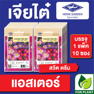 เมล็ดพันธุ์ ดอกไม้ เจียไต๋ CT25 แอสเตอร์สวีทดรีม บรรจุแพ็คล่ะ 10 ซอง ราคา 160 บาท