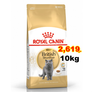 Royal canin british shorthair 10 kg อาหาร สำหรับแมวโต พันธุ์ บริติช ชอร์ตแฮร์ 10 กก.Exp:09/2024