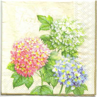 Pladao Napkin ภาพ ดอกไม้ ดอกไฮเดรนเยีย ขาว ฟ้า ชม Hydrangea กระดาษ แนพกิ้น สำหรับงานศิลปะ เดคูพาจ decoupage ขนาด L 33x33