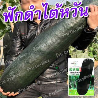 เมล็ดพันธุ์ฟักดำไต้หวัน แฟงดำไต้หวัน 50เมล็ด เมล็ดฟักดำไต้หวัน